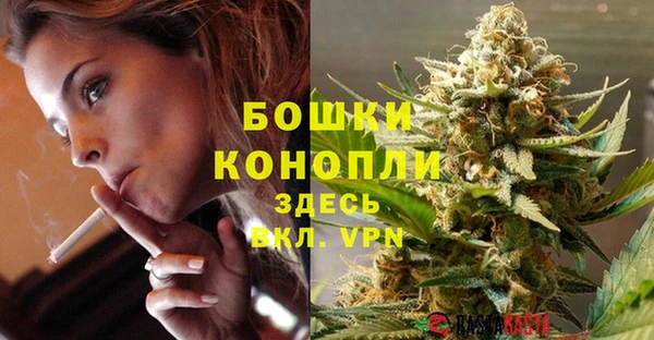 хмурый Михайловск