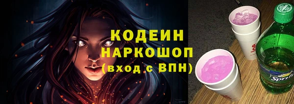 хмурый Михайловск