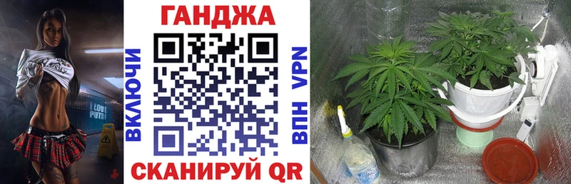 Купить где  Кодинск  Конопля White Widow 